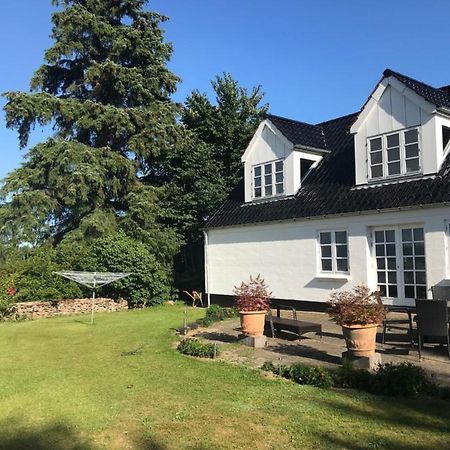 Pedersholt Bed & Breakfast Dybvad Buitenkant foto
